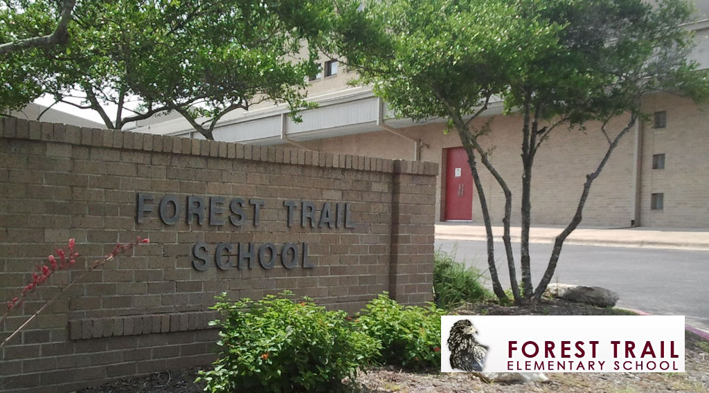 forest trail school